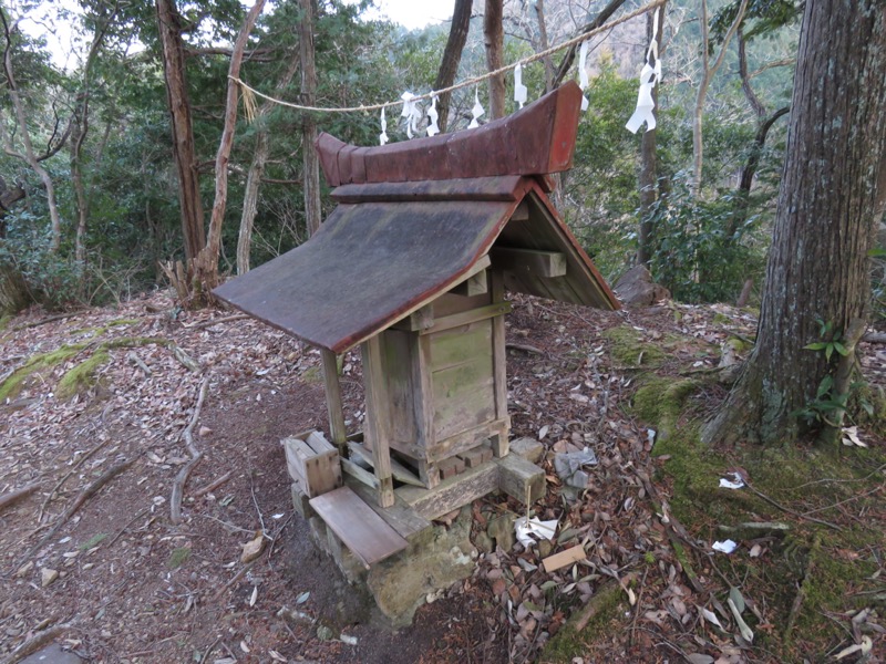 大岳山、馬頭刈尾根