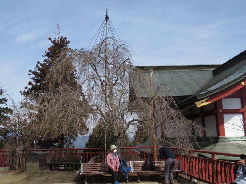 大岳山、馬頭刈尾根