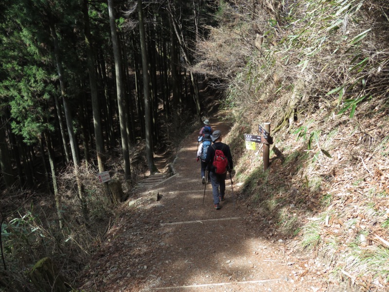 大岳山、馬頭刈尾根