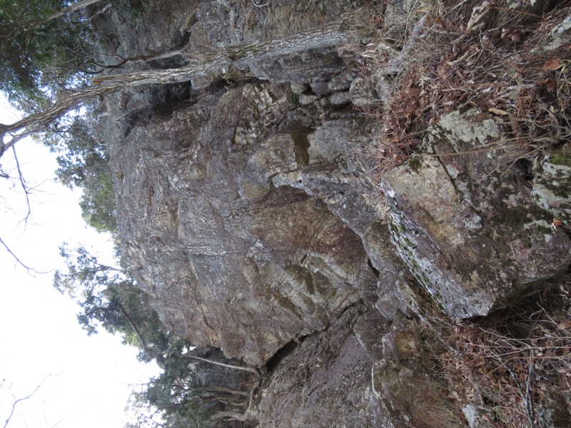 大岳山、馬頭刈尾根