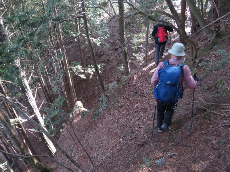 大岳山、馬頭刈尾根