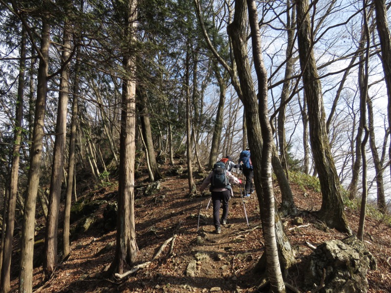 大岳山、馬頭刈尾根