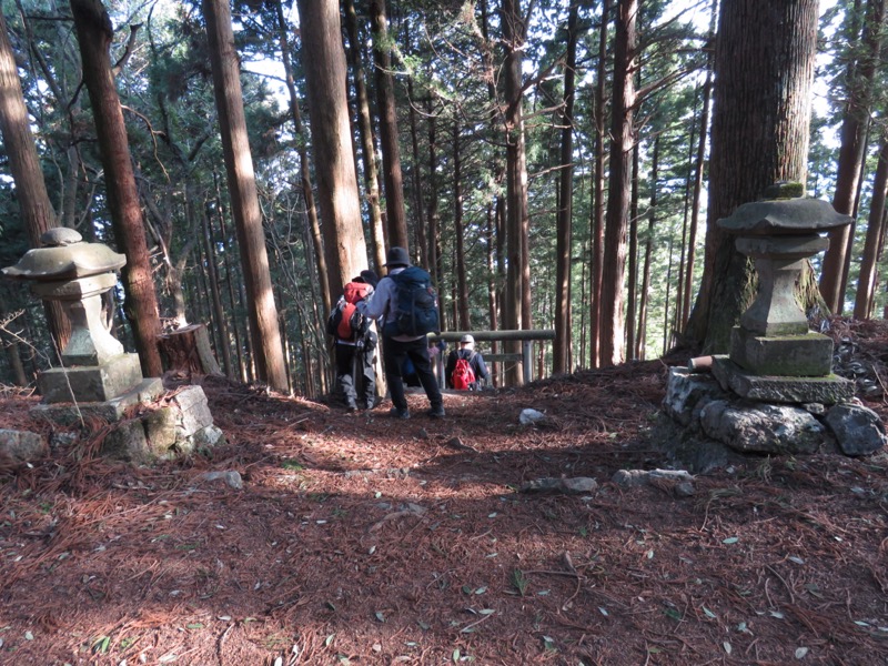 大岳山、馬頭刈尾根