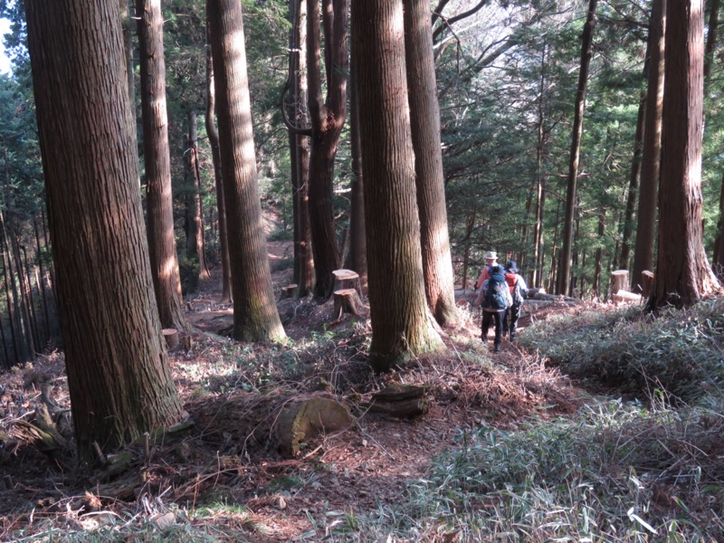 大岳山、馬頭刈尾根