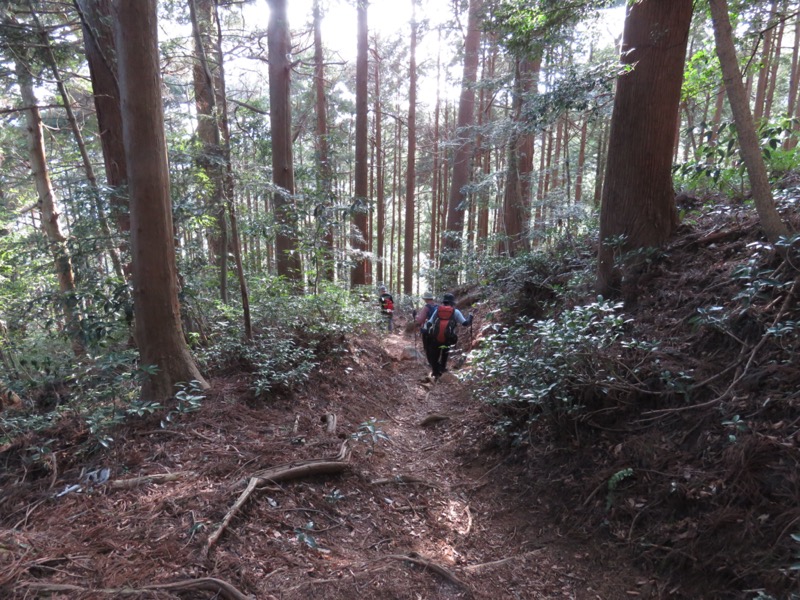 大岳山、馬頭刈尾根