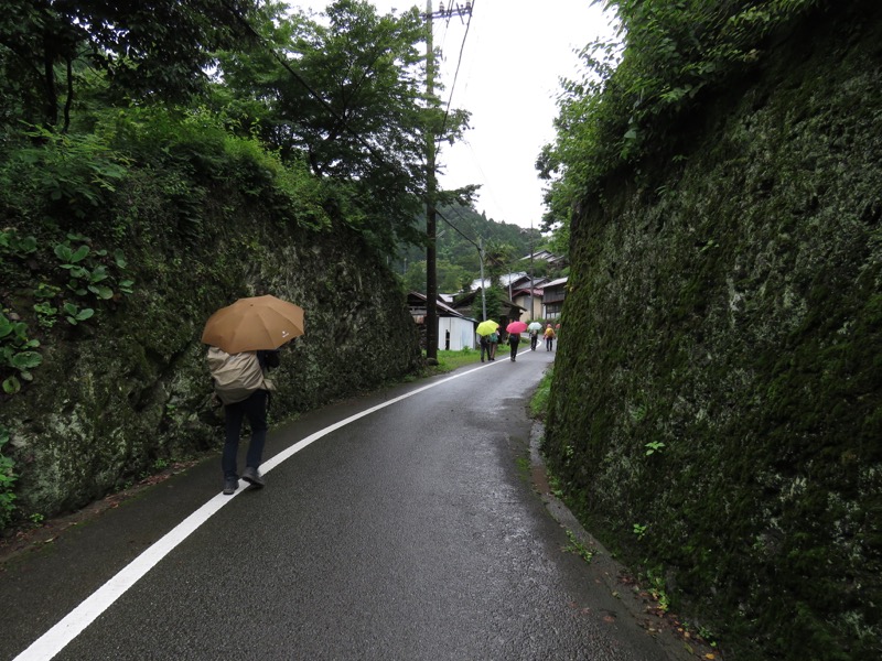 南沢あじさい山