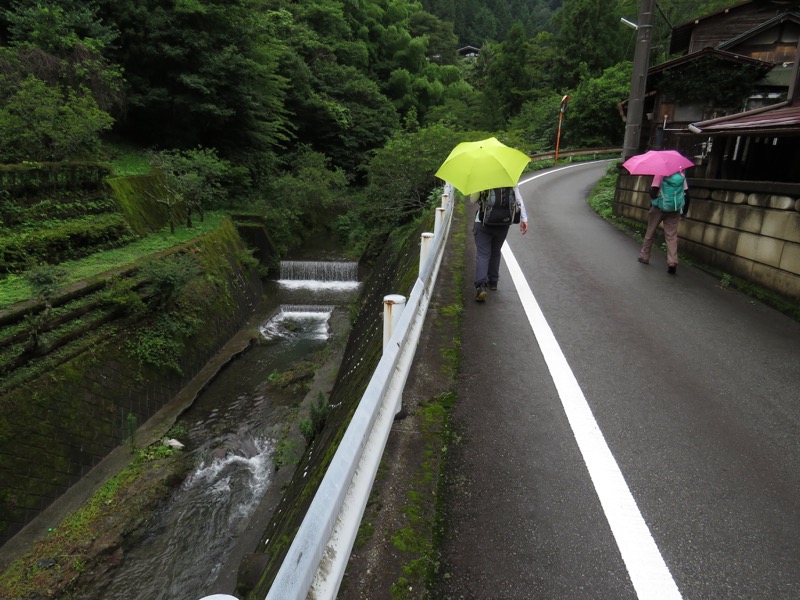 南沢あじさい山