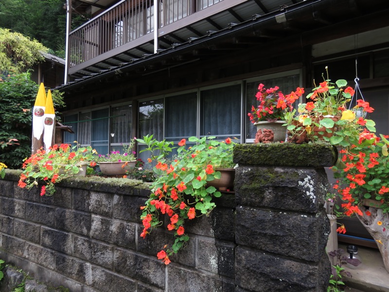 南沢あじさい山