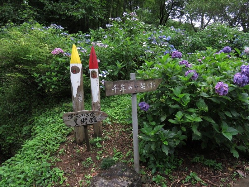 南沢あじさい山