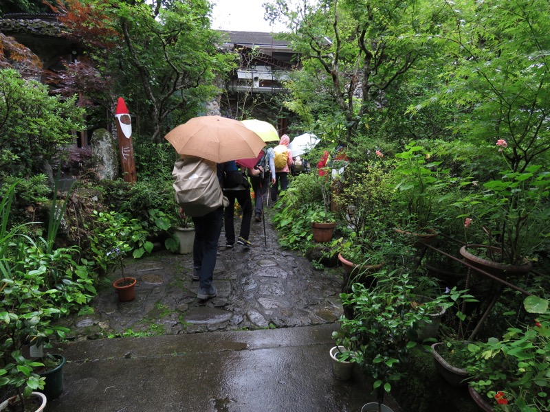 南沢あじさい山