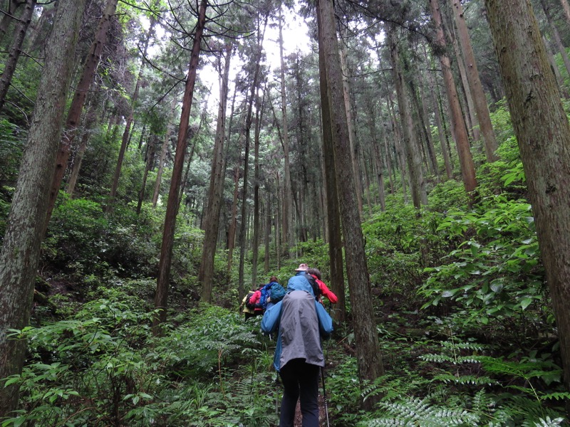 南沢あじさい山