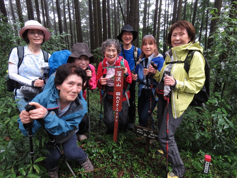 南沢あじさい山