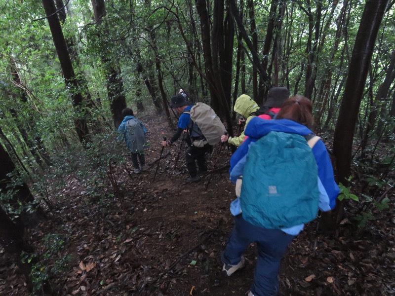 南沢あじさい山