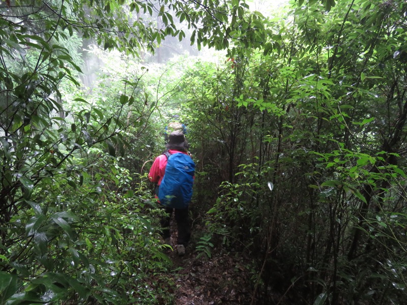 南沢あじさい山