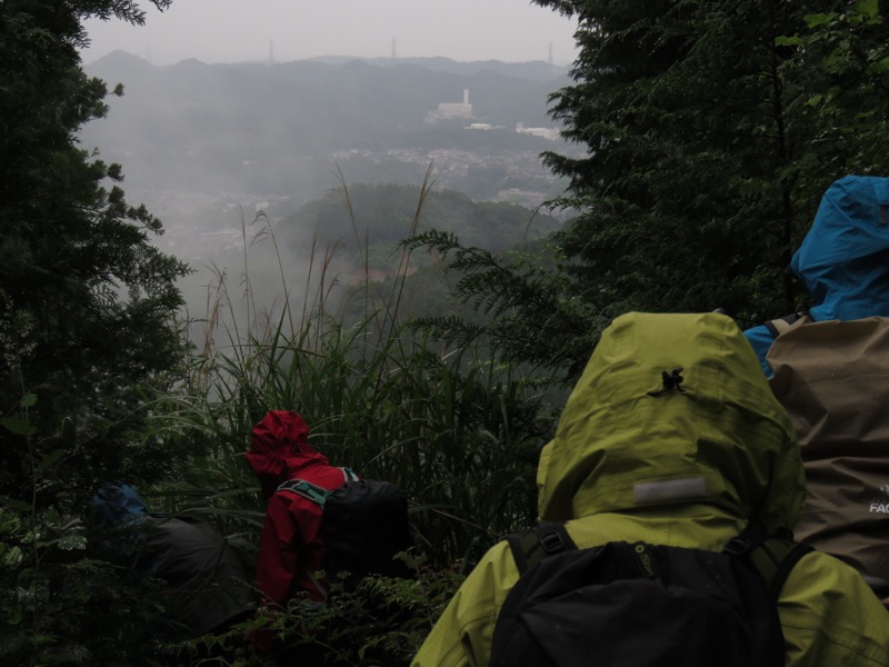 南沢あじさい山