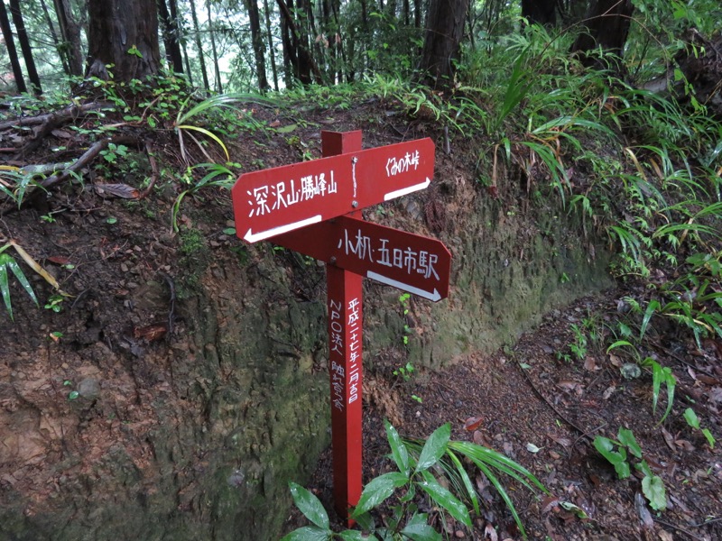 南沢あじさい山