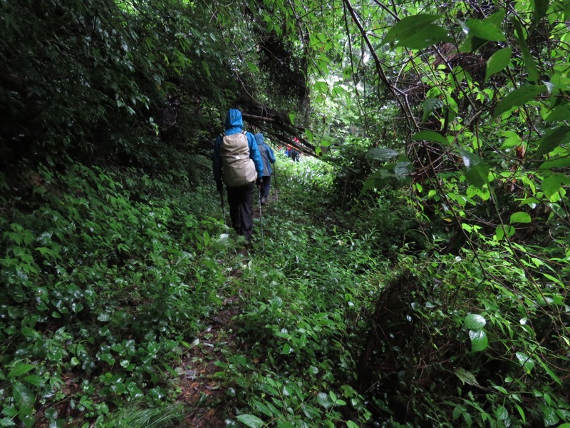 南沢あじさい山