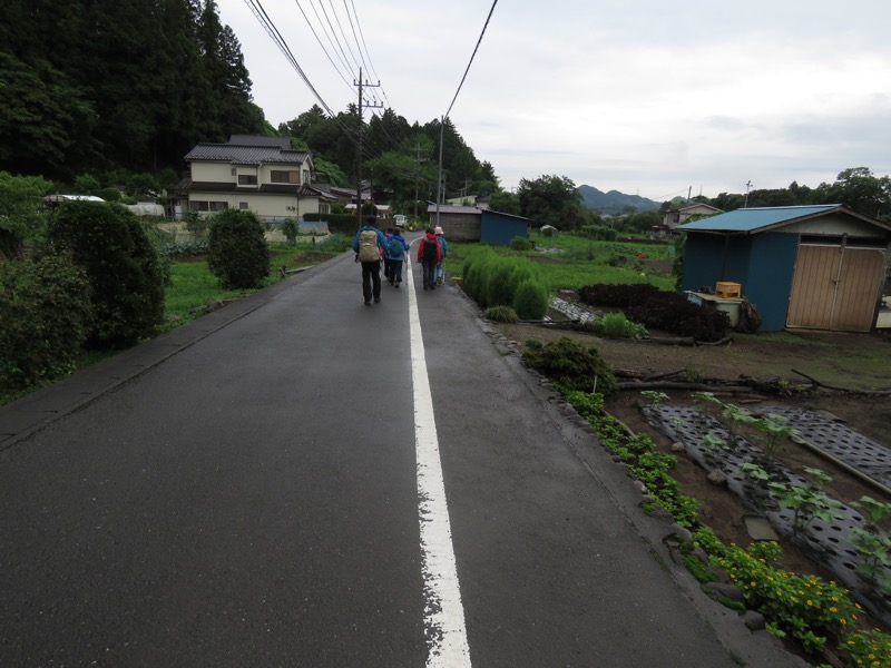 南沢あじさい山