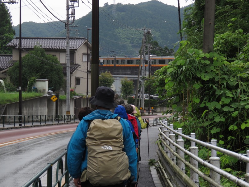 南沢あじさい山