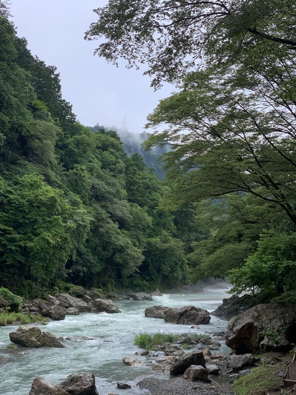 南沢あじさい山