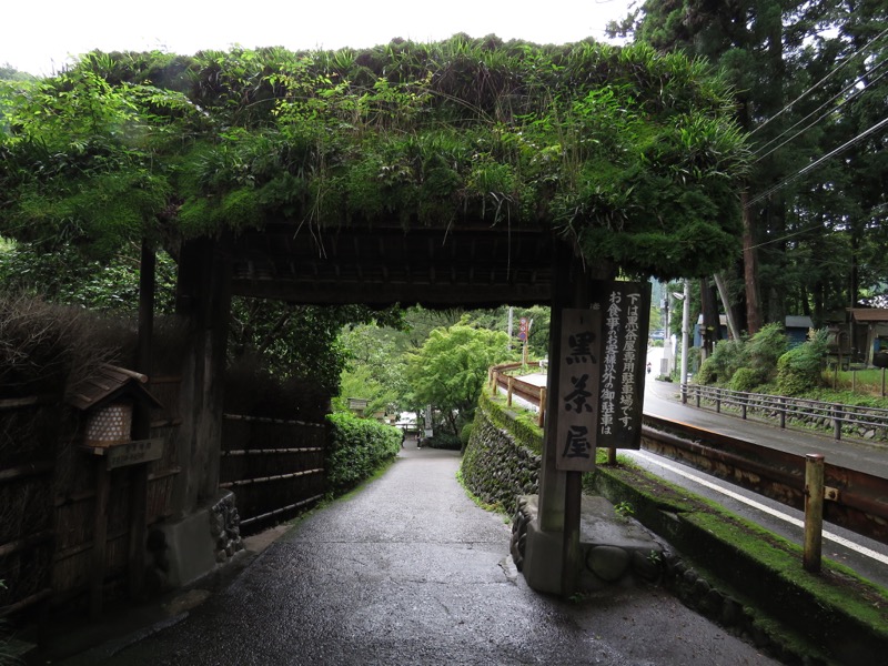 南沢あじさい山