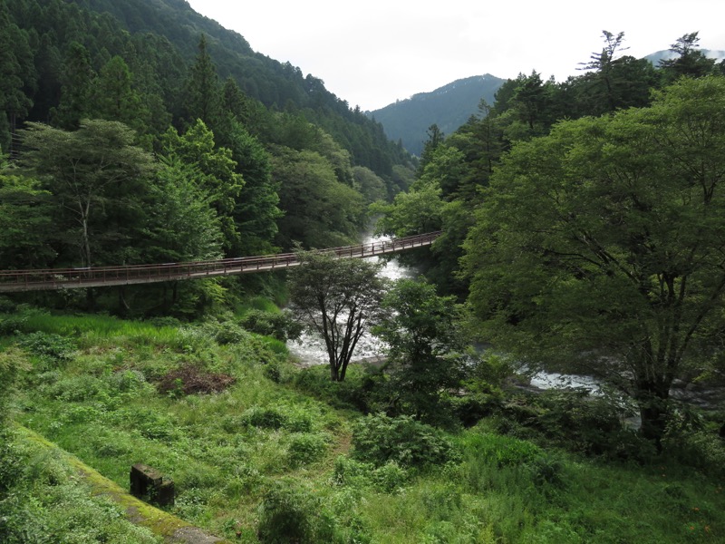 南沢あじさい山