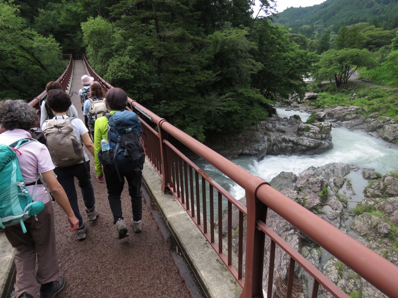 南沢あじさい山