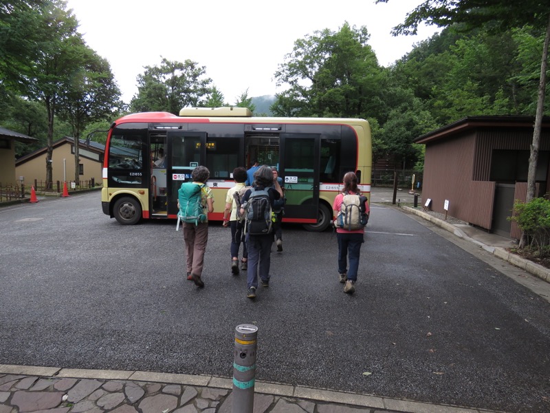 南沢あじさい山