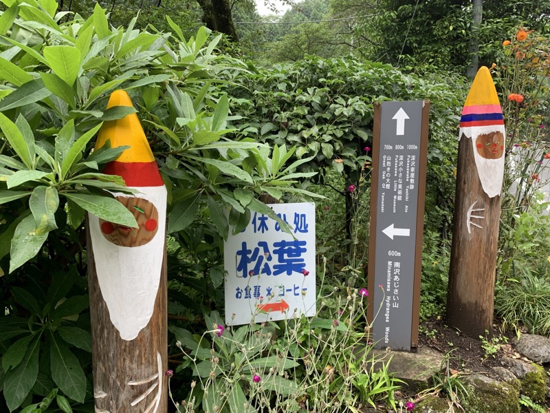 南沢あじさい山