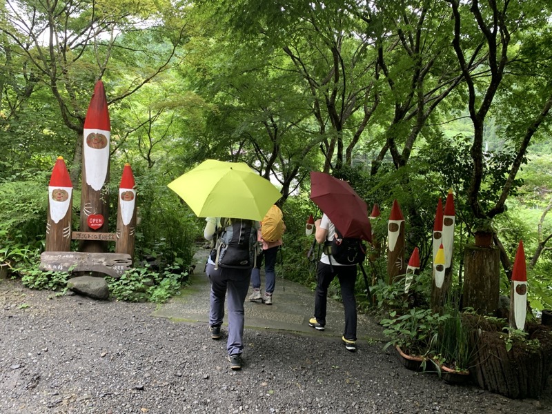 南沢あじさい山