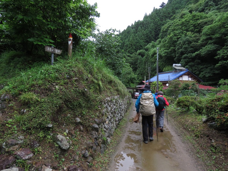 あきる野市深沢山,千年の契り杉