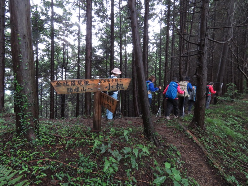 あきる野市深沢山