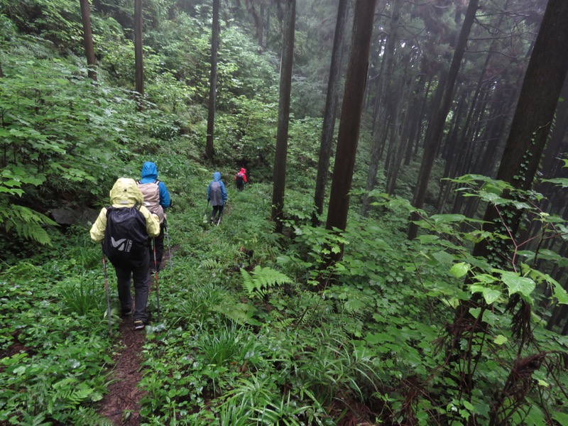 あきる野市深沢山,下り