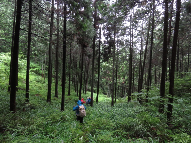 あきる野市深沢山,下り