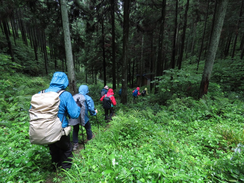 あきる野市深沢山,下り