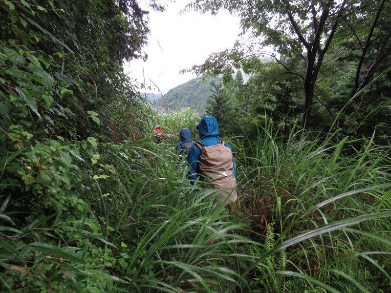 あきる野市深沢山,下り