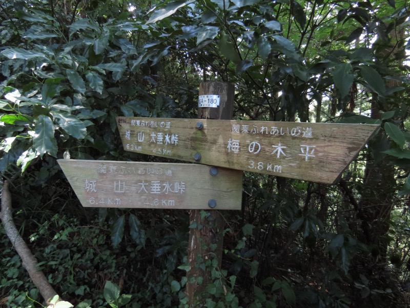 南高尾山稜
