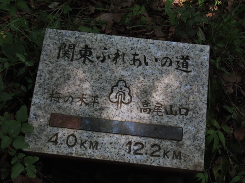 南高尾山稜