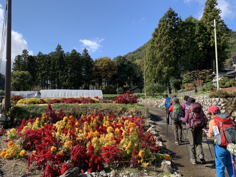 矢倉岳