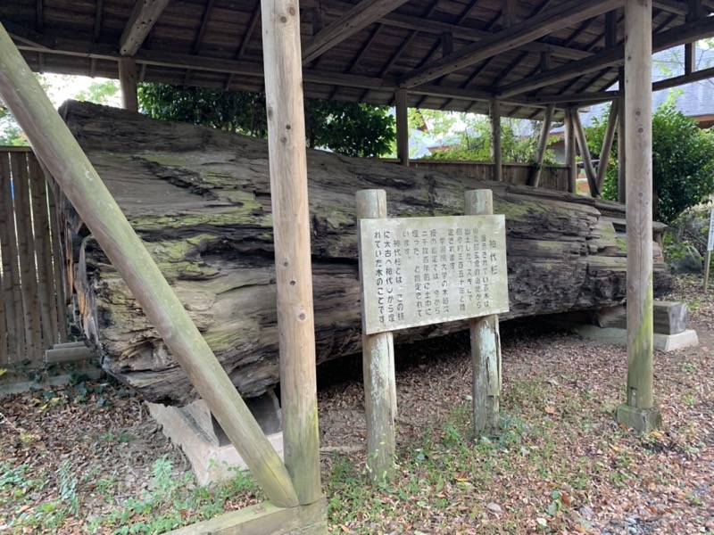 矢倉岳