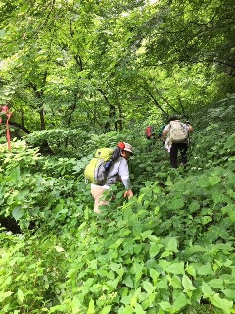 戸倉三山、入山峠付近