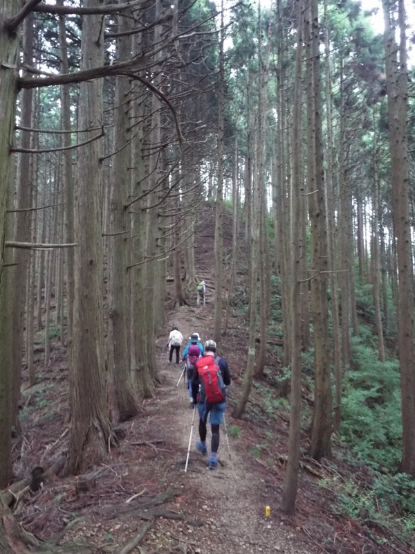 戸倉三山、登山道