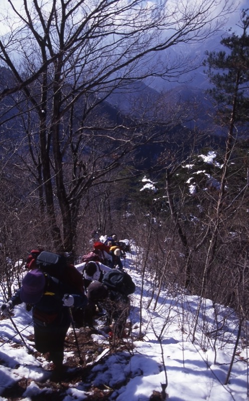 高川山