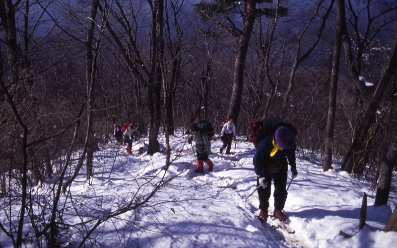 高川山