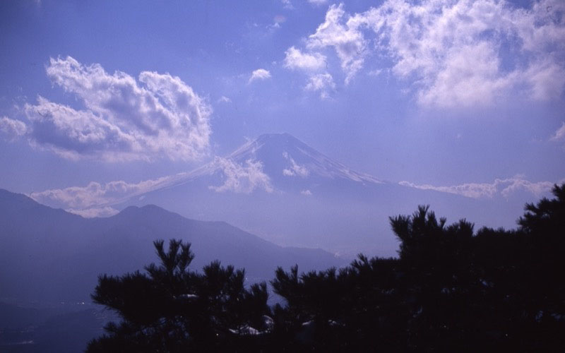 高川山