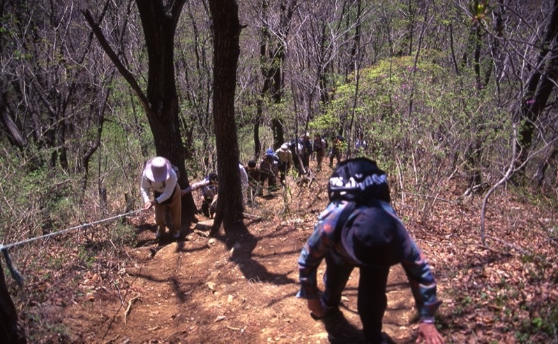 高川山