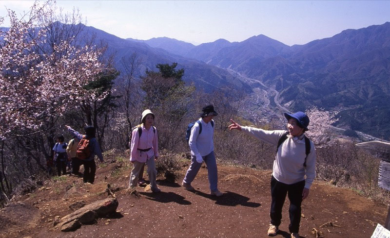 高川山