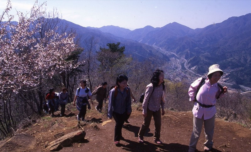 高川山