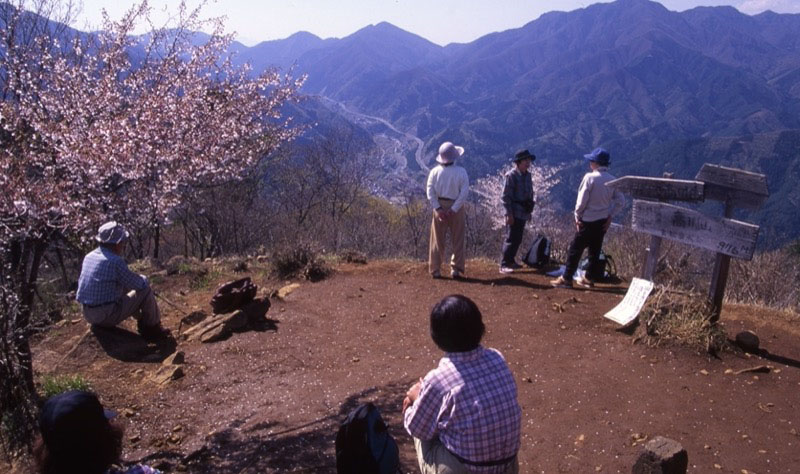 高川山