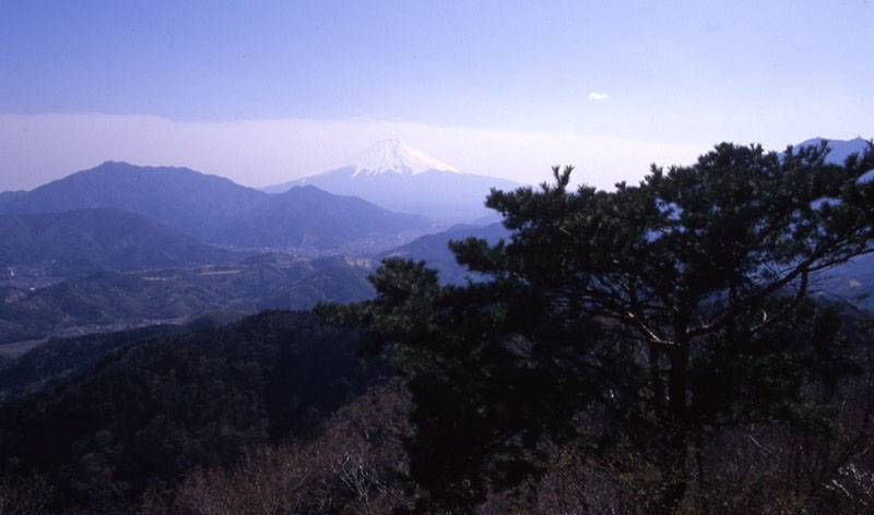 高川山